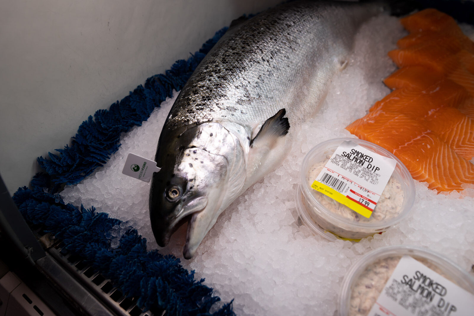Coral Reef Seafood- Salmon.jpg